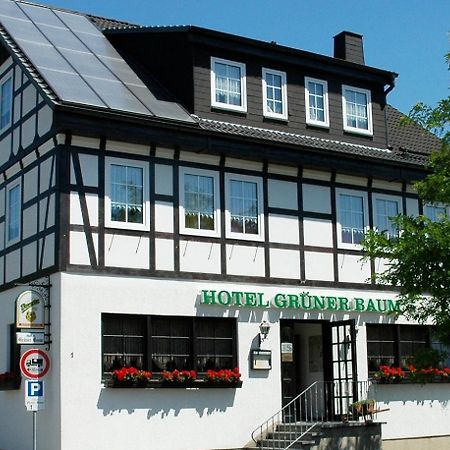 Hotel Gruener Baum Stollberg Ngoại thất bức ảnh